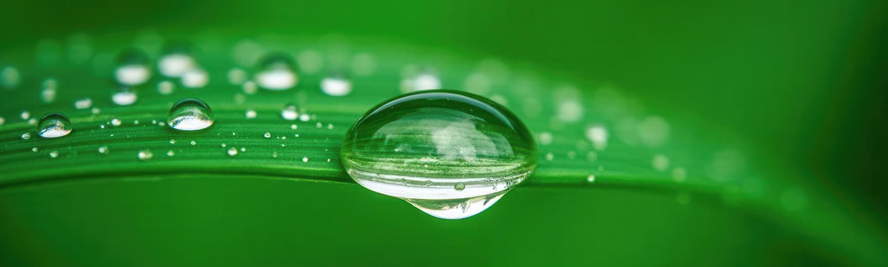 Sustainability